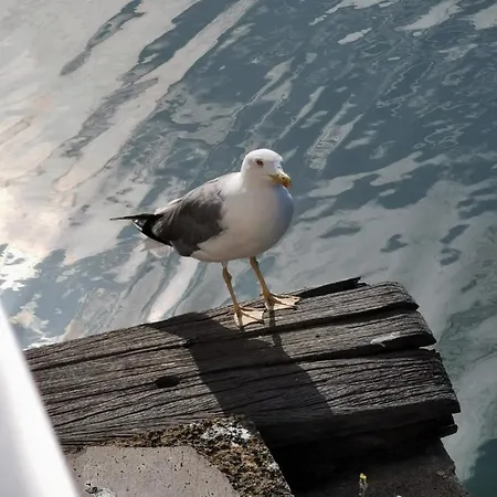 Les Pieds Dans L'eau Apartment